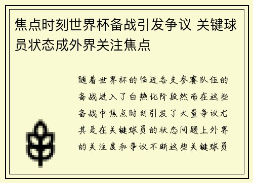 焦点时刻世界杯备战引发争议 关键球员状态成外界关注焦点 焦点时刻世界杯备战引发争议 关键球员状态成外界关注焦点